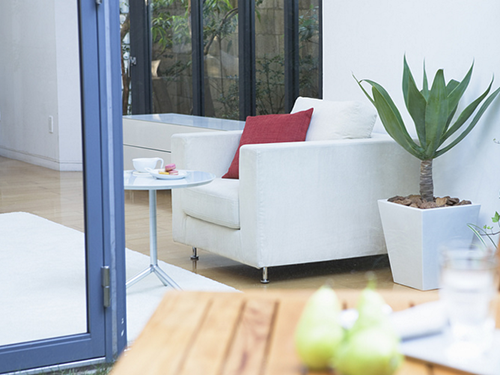 黑山羊種羊,黑山羊養(yǎng)殖,湖南黑山羊,黑山羊,黑山羊價(jià)格,江西黑山羊,貴州黑山羊,河南黑山羊,重慶黑山羊,湖北黑山羊,廣東黑山羊